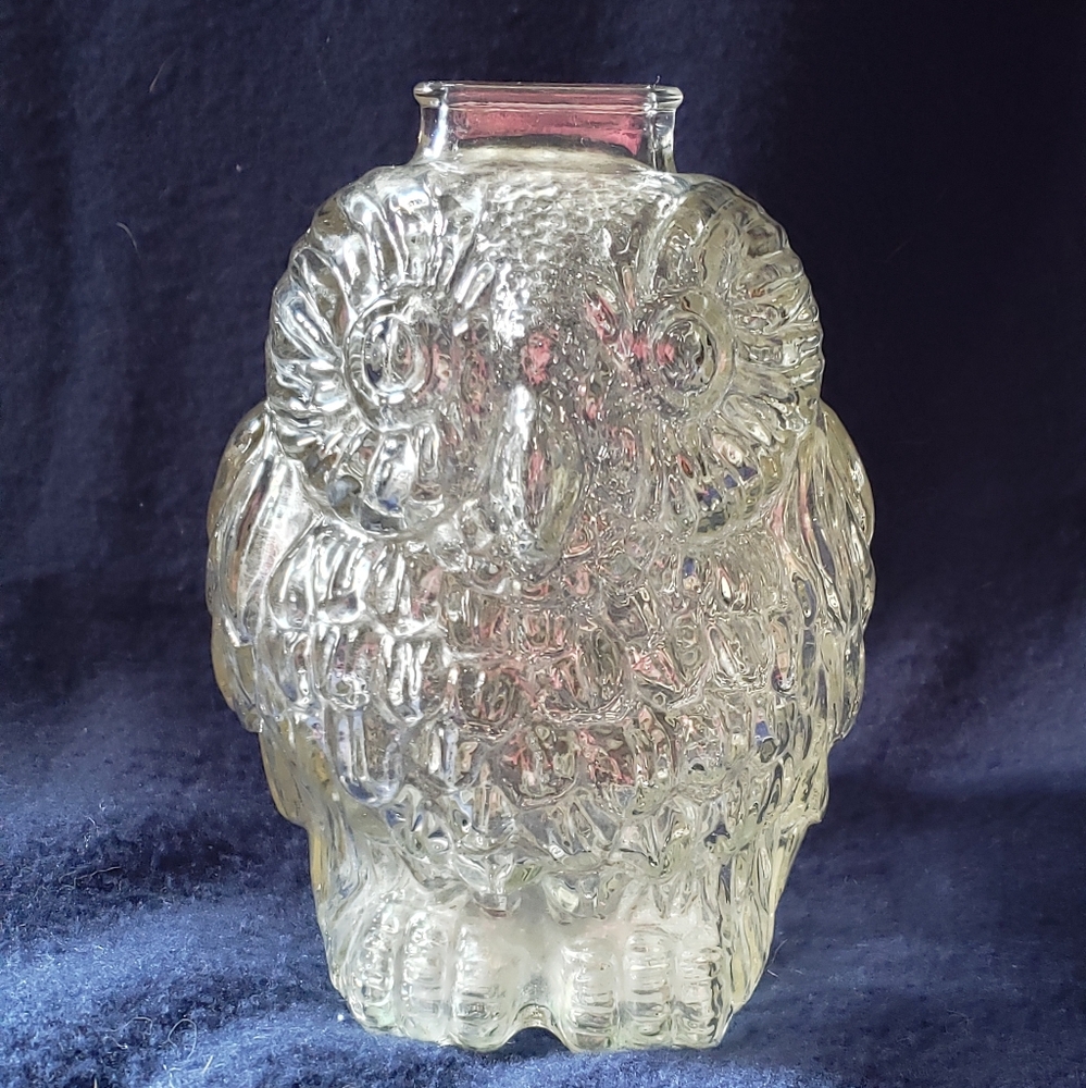 Wise Old Owl Bank